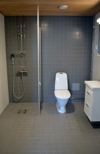 Esimerkki kylpyhuoneesta, jossa suihku on eristetty vessasta lasiseinällä.
