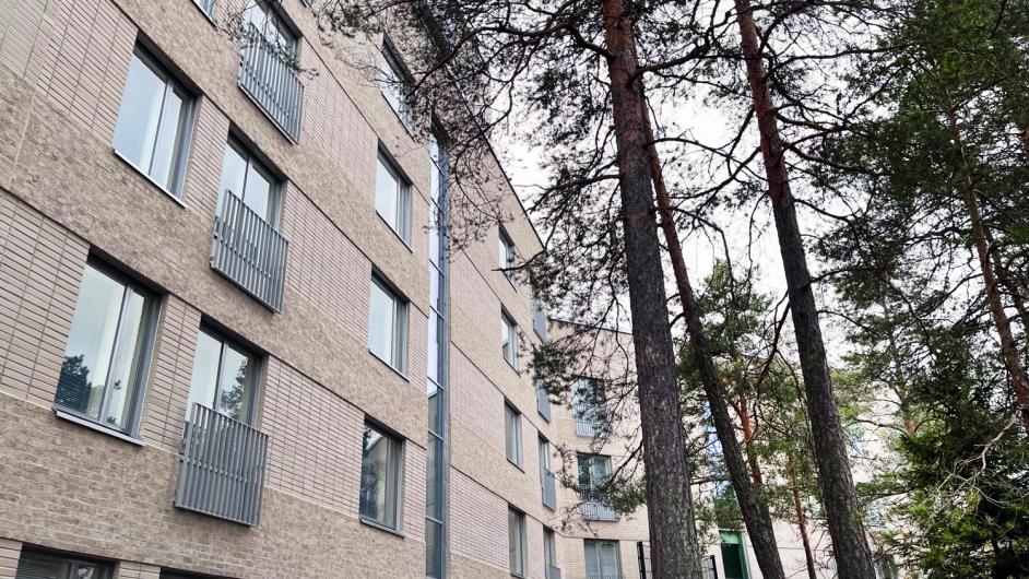 Saariseläntie 11 pihanäkymää