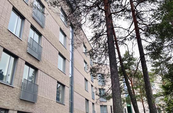 Saariseläntie 11 pihanäkymää