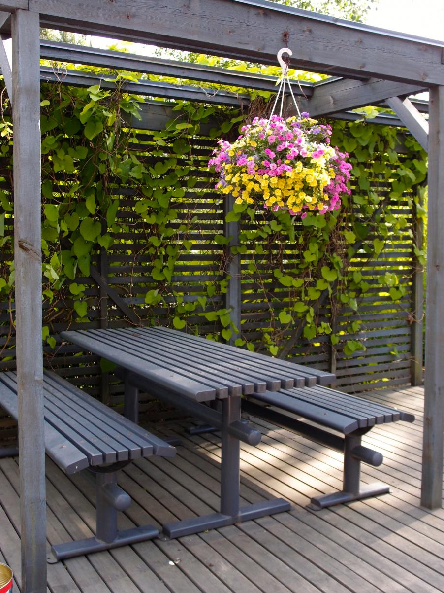 Pergola